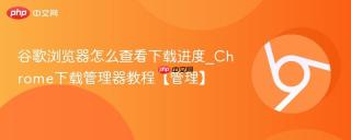 谷歌浏览器怎么查看下载进度_Chrome下载管理器教程【管理】
