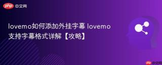 lovemo如何添加外挂字幕 lovemo支持字幕格式详解【攻略】