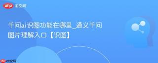 千问ai识图功能在哪里_通义千问图片理解入口【识图】