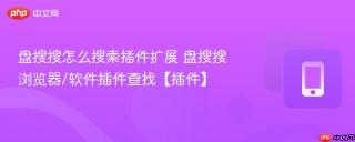 盘搜搜怎么搜索插件扩展 盘搜搜浏览器/软件插件查找【插件】