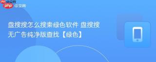 盘搜搜怎么搜索绿色软件 盘搜搜无广告纯净版查找【绿色】