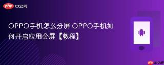 OPPO手机怎么分屏 OPPO手机如何开启应用分屏【教程】