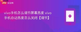vivo手机怎么调节屏幕亮度 vivo手机自动亮度怎么关闭【调节】