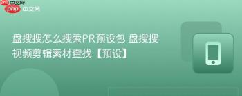 盘搜搜怎么搜索PR预设包 盘搜搜视频剪辑素材查找【预设】