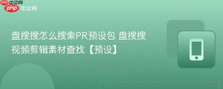 盘搜搜怎么搜索PR预设包 盘搜搜视频剪辑素材查找【预设】