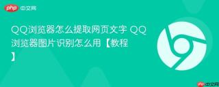 qq浏览器怎么提取网页文字 qq浏览器图片识别怎么用【教程】