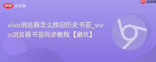 vivo浏览器怎么找回历史书签_vivo浏览器书签同步教程【避坑】