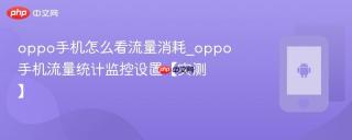 oppo手机怎么看流量消耗_oppo手机流量统计监控设置【实测】