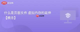 什么是页面文件 虚拟内存的延伸【概念】