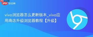 vivo浏览器怎么更新版本_vivo应用商店升级浏览器教程【升级】