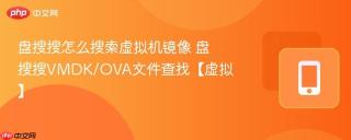 盘搜搜怎么搜索虚拟机镜像 盘搜搜VMDK/OVA文件查找【虚拟】