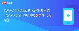 iQOO手机怎么进入开发者模式 iQOO手机USB调试怎么开【调试】