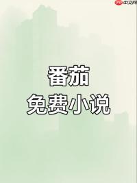 番茄免费小说网页入口地址 番茄小说在线阅读官网