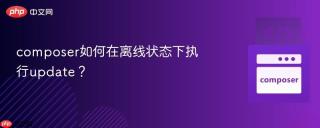 composer如何在离线状态下执行update？
