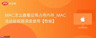 mac怎么查看应用占用内存_mac活动监视器深度使用【性能】