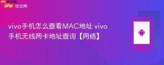 vivo手机怎么查看MAC地址 vivo手机无线网卡地址查询【网络】