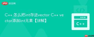 C++ 怎么把int存进vector C++ vector添加int元素【详解】