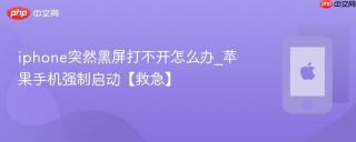 iphone突然黑屏打不开怎么办_苹果手机强制启动【救急】
