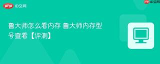 鲁大师怎么看内存 鲁大师内存型号查看【评测】