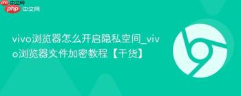 vivo浏览器怎么开启隐私空间_vivo浏览器文件加密教程【干货】