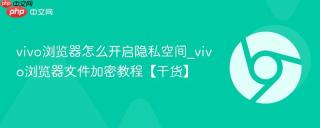 vivo浏览器怎么开启隐私空间_vivo浏览器文件加密教程【干货】