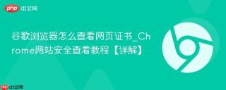 谷歌浏览器怎么查看网页证书_chrome网站安全查看教程【详解】