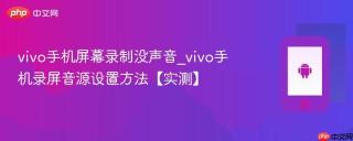 vivo手机屏幕录制没声音_vivo手机录屏音源设置方法【实测】