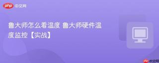 鲁大师怎么看温度 鲁大师硬件温度监控【实战】