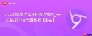 vivo浏览器怎么开启省流模式_vivo浏览器节省流量教程【必备】