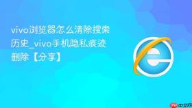 vivo浏览器怎么清除搜索历史_vivo手机隐私痕迹删除【分享】