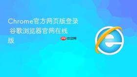 Chrome官方网页版登录 谷歌浏览器官网在线版