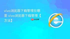vivo浏览器下载管理在哪里 vivo浏览器下载管理【方法】