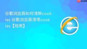 谷歌浏览器如何清除cookies 谷歌浏览器清理cookies【指南】