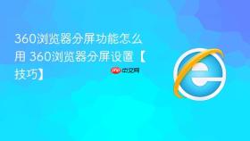 360浏览器分屏功能怎么用 360浏览器分屏设置【技巧】