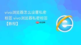 vivo浏览器怎么设置私密标签 vivo浏览器私密标签【教程】
