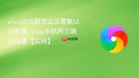vivo浏览器怎么设置默认浏览器_vivo手机网页跳转设置【实用】