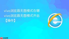 vivo浏览器无图模式在哪 vivo浏览器无图模式开启【操作】