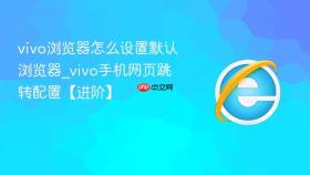vivo浏览器怎么设置默认浏览器_vivo手机网页跳转配置【进阶】