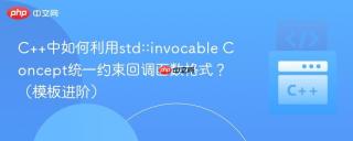 C++中如何利用std::invocable Concept统一约束回调函数格式？（模板进阶）