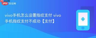 vivo手机怎么设置指纹支付 vivo手机指纹支付不成功【支付】