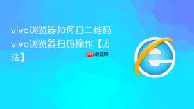 vivo浏览器如何扫二维码 vivo浏览器扫码操作【方法】