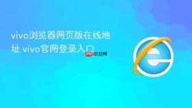 vivo浏览器网页版在线地址 vivo官网登录入口