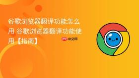 谷歌浏览器翻译功能怎么用 谷歌浏览器翻译功能使用【指南】