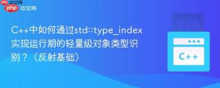 c++中如何通过std::type_index实现运行期的轻量级对象类型识别？（反射基础）