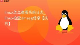 linux怎么查看系统日志_linux检查dmesg信息【技巧】