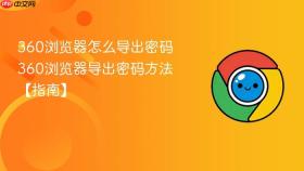 360浏览器怎么导出密码 360浏览器导出密码方法【指南】