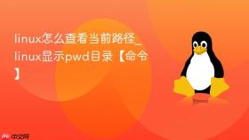 linux怎么查看当前路径_linux显示pwd目录【命令】
