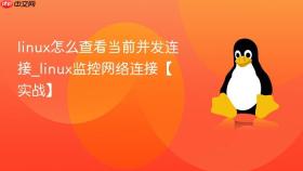 linux怎么查看当前并发连接_linux监控网络连接【实战】