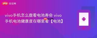 vivo手机怎么查看电池寿命 vivo手机电池健康度在哪里看【电池】