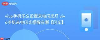 vivo手机怎么设置来电闪光灯 vivo手机来电闪光提醒在哪【闪光】